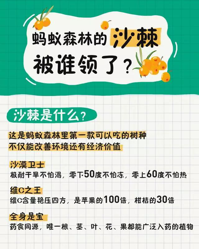 螞蟻森林新樹種沙棘兩天領(lǐng)光！沙棘的功能已經(jīng)被大眾所接受！